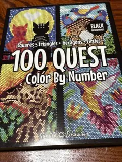 100 QUEST Color By Number 塗り絵