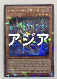 シャドール・リザード