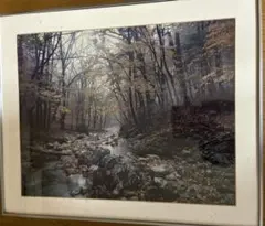 フジカラー 木製額縁 M13 キャビネ 10枚入 高級写真立て - メルカリ
