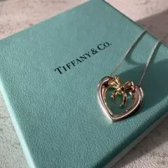 ✨極美品✨ティファニー ネックレス フランクゲーリー オーキッド