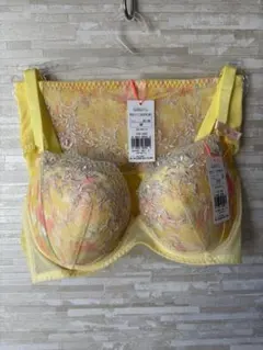 D70&M」トリンプ きゅっと寄せブラ プレイフルアーチ ブラ&ショーツ