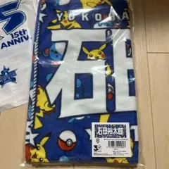 Item thumbnail for item 3887e4b7-edb3-4651-afe1-cc250dbec5fb