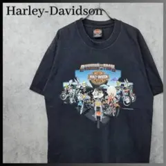 10T8404 HARLEY-DAVIDSON Tシャツ ピンナップガール 古着 - メルカリ