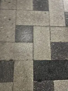 専用です買わないで