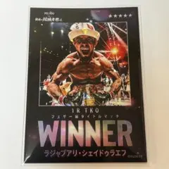 マ*ミ様 ④RIZIN ライコレ カード　シェイドゥラエフ