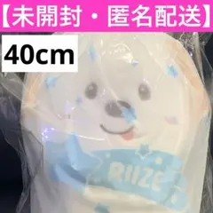 2026年最新】モンリョンイ 40cmの人気アイテム - メルカリ