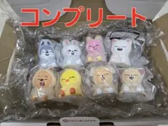 SKZOO ライトマスコット 全8種セット ガチャ スキズ