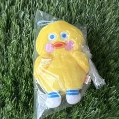 ブランチブラザー ダック