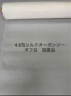 Item thumbnail for item ab2cda29-4943-493b-8e39-5eac72602f0d