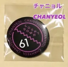 チャニョル 団扇 うちわ EXO - メルカリ