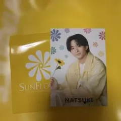 FANTASTICS 澤本夏輝 SUNFLOWER フォトカ フォトカード