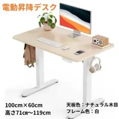 ErGear 電動昇降デスク 100×60 高さメモリー ナチュラル木目 未使用