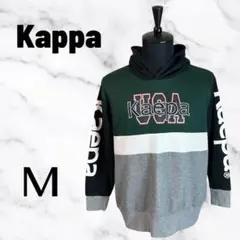 【kaepa】ビッグロゴプリントプルパーカー　袖ロゴ　薄手　ボーダー　グリーンM