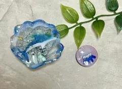 Sea Friends マグネットセット☆イルカとクラゲ