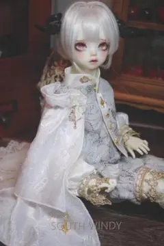 ディーラー様製 MDD服 天使チャイナセット 1/4 中古 - メルカリ