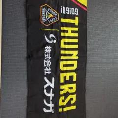 群馬クレインサンダーズ バスケットボール