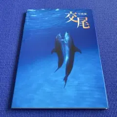 写真集 交尾