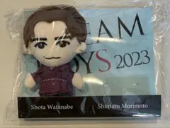 渡辺翔太　ドリボ　ぬいぐるみ②