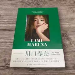 I AM HARUNA 川口春奈 1stフォト&スタイルブック 美品