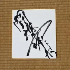 燃える闘魂 アントニオ猪木 直筆サイン色紙（闘魂入りバージョン