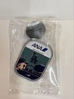 2025年最新】ana ピンバッチの人気アイテム - メルカリ