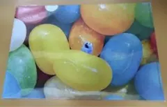 スンスン 東京駅 限定クリアファイル