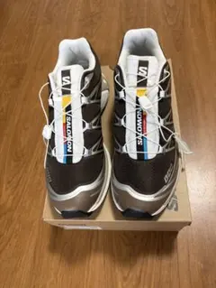 Salomon サロモン XT-6 BILLY'S EXCLUSIVE 27.5 - メルカリ