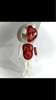 2025年最新】鬼太郎解剖図の人気アイテム - メルカリ