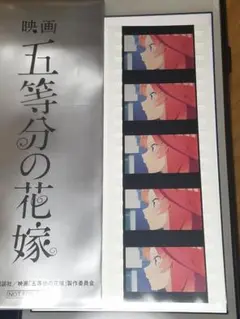 映画 五等分の花嫁 入場者特典 第6弾 コマフィルム 中野五月