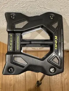 Item thumbnail for item 8ddf5b59-7ca1-4361-9056-47de8986b5d9