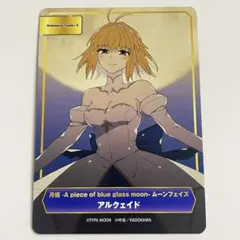 2026年最新】月姫 アルクェイドの人気アイテム - メルカリ