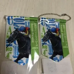 2025年最新】モバガチャ ノーザンホースパークの人気アイテム - メルカリ