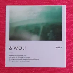 &WOLF by N organic UV セラムリキッドファンデーション 2番