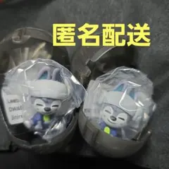 straykids スキズ　skzoo サウナ　ガチャ　ウルフチャン　２個セット