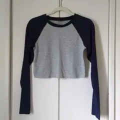 Dazy M グレー/ネイビー クロップドTシャツ