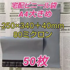 宅配ビニール袋 A4大きめ厚手 グレー色 50枚