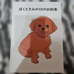 新品★ぼくときみの10のお約束 非売品