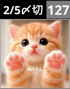 新柄♥️期間限定レアパネル生地　猫パネル生地　6柄セット　CKパネル