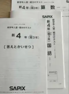 2025年最新】sapix 新4年 入室テストの人気アイテム - メルカリ