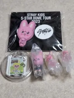 straykids スキズ skzoo トゥエッキ チャンビン セット