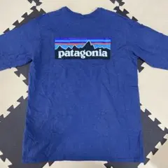 patagonia リサイクル素材 Tシャツ Lサイズ