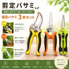 園芸用剪定バサミ 3本セット 庭木 芽切り 収穫のサムネイル