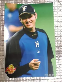 大谷翔平 2015 ハイライトフォト No.206 日本ハム 球団公式写真