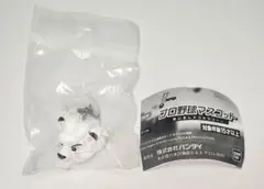 プロ野球マスコット めじるしアクセサリー 【レオ】