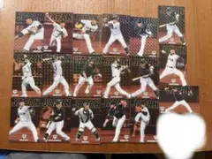 プロ野球チップスカード　2017年侍ジャパン　18枚