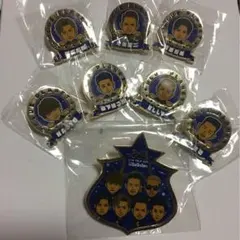 貴重☆三代目JSB クレカ限定 ピンバッチセット