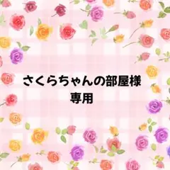 《さくらちゃんの部屋様専用》18点