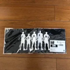 Item thumbnail for item 1ca8fb9d-57f8-46d5-87c4-bc77ae0a35c0