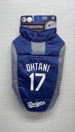 Item thumbnail for item 69991325-f733-48d3-989d-904395588c4b