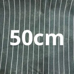 【匿名配送】シーチング生地　綿100% デニム風　ブルーグリーン　50cm